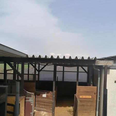 Schoenes Appartement " Die Ponybude" Auf Unserem Reiterhof Birkenbeul Exterior foto
