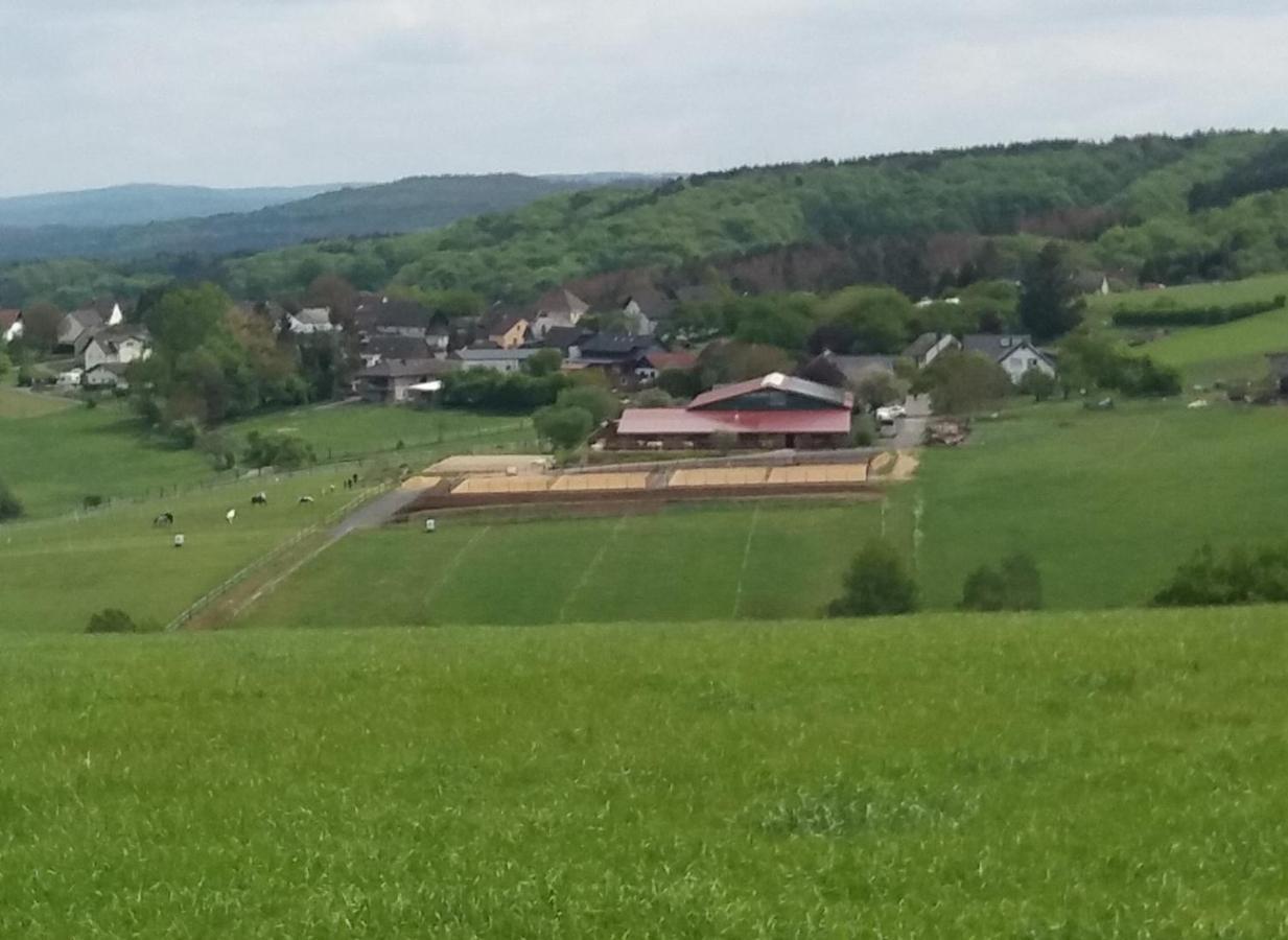 Schoenes Appartement " Die Ponybude" Auf Unserem Reiterhof Birkenbeul Exterior foto